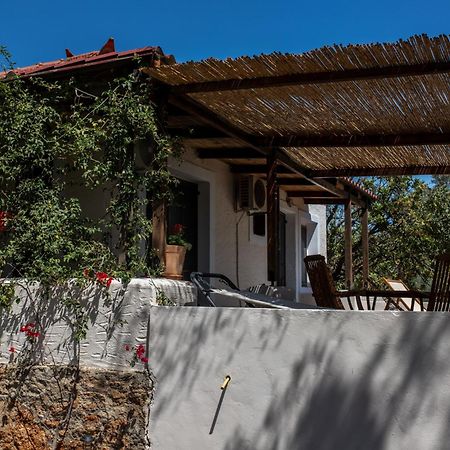Sun&Sea Villas - Sea Vingláfia Zewnętrze zdjęcie